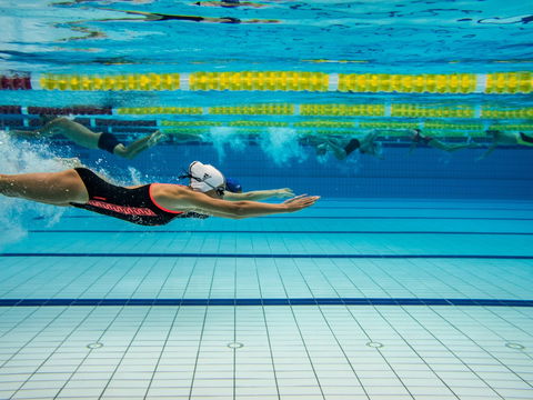 Nowra Aquatic Park - Redcliffe Tourism 2