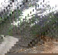 Paddys Ranges State Park - Redcliffe Tourism