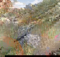 Palm Springs - Redcliffe Tourism