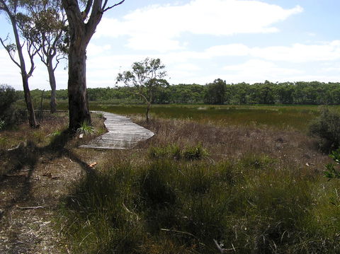 Penola Conservation Park - Redcliffe Tourism 0