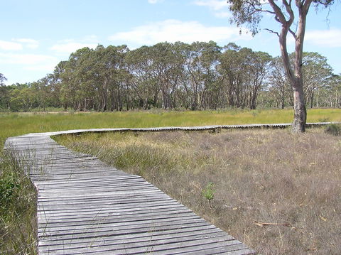 Penola Conservation Park - Redcliffe Tourism 1