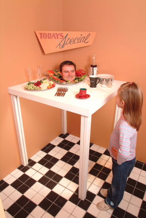 Phillip Island Experience - Redcliffe Tourism 0