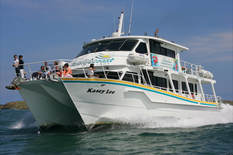 Phillip Island Experience - Redcliffe Tourism 2