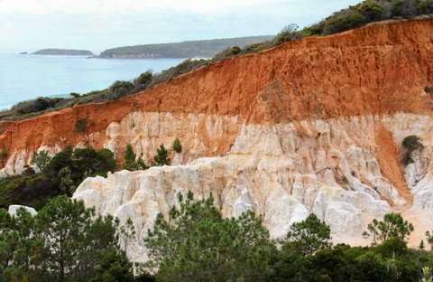 Pinnacles Loop Walking Track - Redcliffe Tourism 0