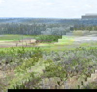 Princess Hills Girringun National Park - Redcliffe Tourism