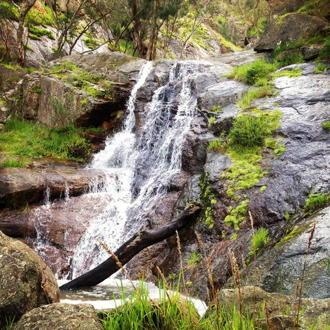 Salisbury Falls Walk - Redcliffe Tourism 1