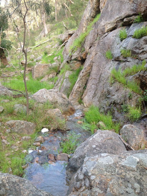Salisbury Falls Walk - Redcliffe Tourism 2