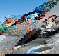 Sapphire - Redcliffe Tourism