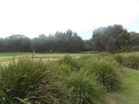 Shoalhaven Heads Golf Club - Redcliffe Tourism 0
