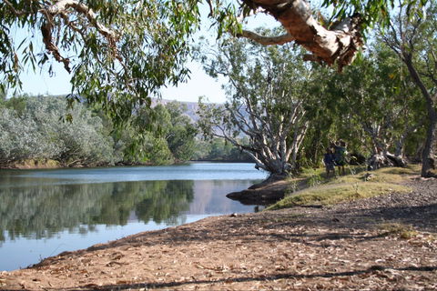 Silent Grove - Redcliffe Tourism 0