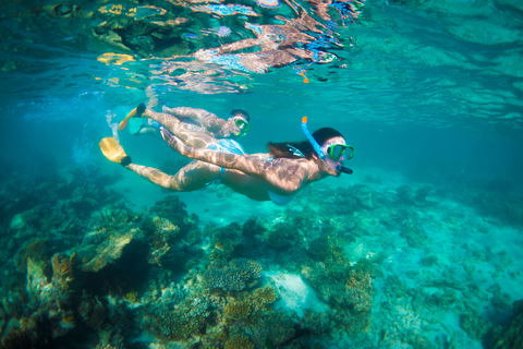 Snorkel The Ningaloo Reef - Redcliffe Tourism 1