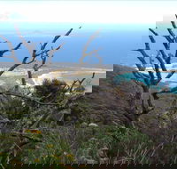 Strzelecki Peaks Great Short Walk - Redcliffe Tourism
