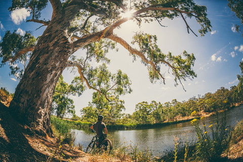 Sturt Gorge Recreation Park - Redcliffe Tourism 0