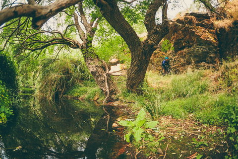 Sturt Gorge Recreation Park - Redcliffe Tourism 1