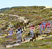 The Sole Walk at Hillocks Drive - Redcliffe Tourism