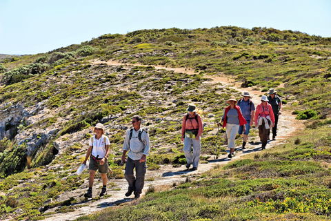 The Sole Walk At Hillocks Drive - Redcliffe Tourism 0