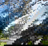 The Herbig Family Tree - Redcliffe Tourism