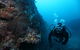 Twelve Apostles Marine National Park - thumb 0