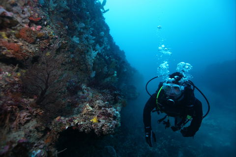 Twelve Apostles Marine National Park - Redcliffe Tourism 0