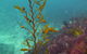 Twelve Apostles Marine National Park - thumb 2