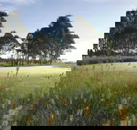Twin Creeks Golf and Country Club - Redcliffe Tourism