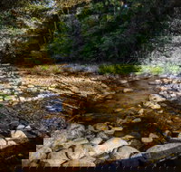 Wilson River picnic area - Redcliffe Tourism