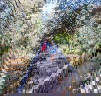 Yea Wetlands Walk - Redcliffe Tourism