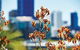 A Day In Perth - thumb 1