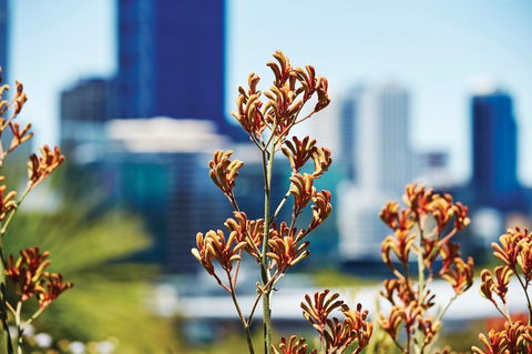 A Day In Perth - Redcliffe Tourism 1