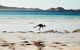 Albany And Esperance - thumb 2