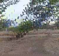 Alexander Forest Memorial - Redcliffe Tourism