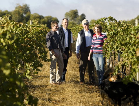 Ararat - Redcliffe Tourism 1