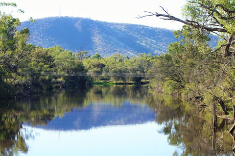 Avon River Walk Trail And Janet Millet Lane - Redcliffe Tourism 0