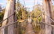 Avon River Walk Trail And Janet Millet Lane - thumb 1