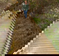 Balcombe Creek Estuary Boardwalk - Redcliffe Tourism