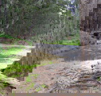 Bangadilly National Park - Redcliffe Tourism