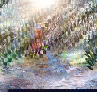 Bayview Conservation Area - Redcliffe Tourism