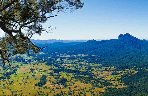 Blackbutt Lookout Picnic Area - Redcliffe Tourism 0