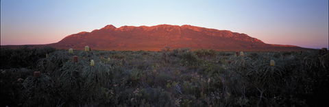 Cape Arid National Park - Redcliffe Tourism 2
