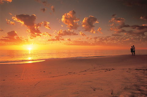 Coastal Art Trail - Redcliffe Tourism 0