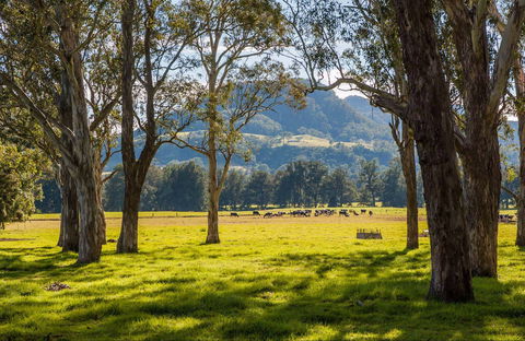 Coast To The Highlands Scenic Drive – Kangaroo Valley - Redcliffe Tourism 0