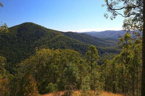 Conondale National Park - Redcliffe Tourism 0
