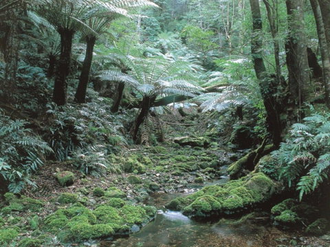 Corn Trail - Redcliffe Tourism 0