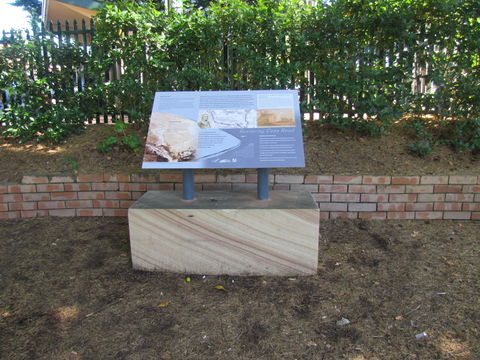 Coxs Road Interpretive Trail - Redcliffe Tourism 0