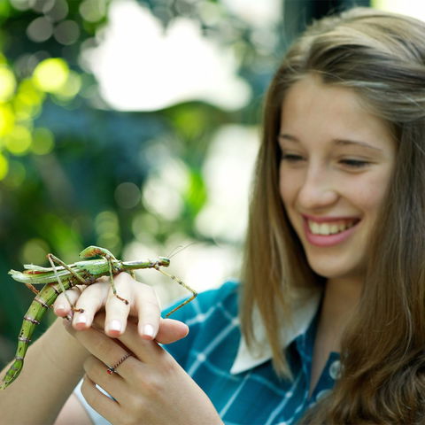 CSIRO Discovery Centre - Redcliffe Tourism 1