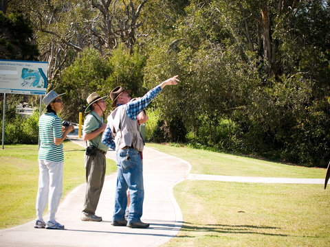 Eagleby Wetlands - Redcliffe Tourism 2
