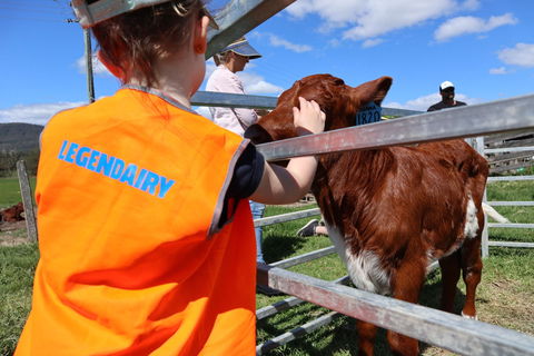 Farm Visit  Dungog - Redcliffe Tourism 0