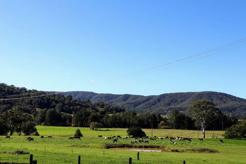 Farm Visit  Dungog - Redcliffe Tourism 1