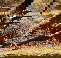 Freycinet Paintball and Campground - Redcliffe Tourism