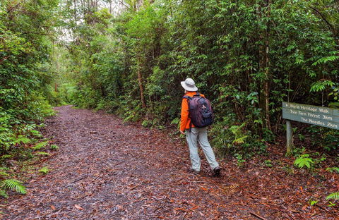 Gibraltar-Washpool World Heritage Walk - Redcliffe Tourism 0
